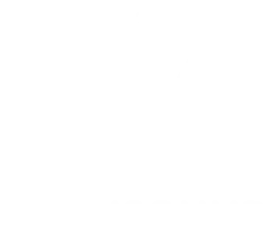 Logo White